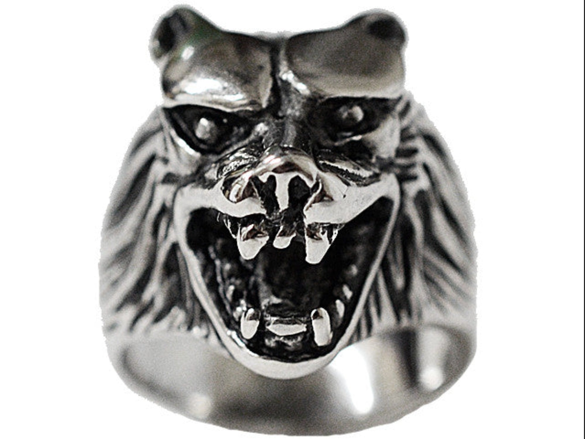 Snarling wolf ring in stainless steel