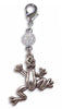 Charm Small Silver - Frog