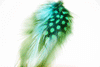 Charm Large Feather - Green Blue 